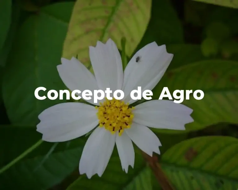 Concepto de Agro
