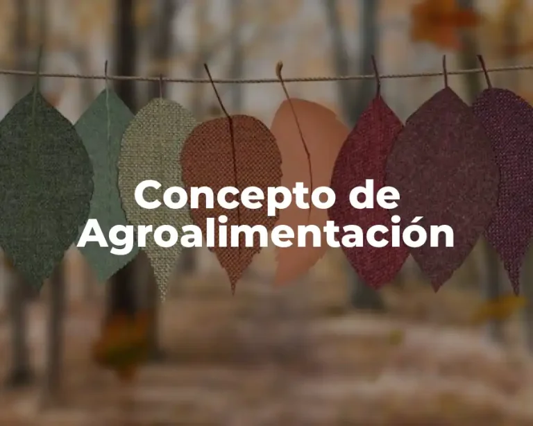 Concepto de Agroalimentación