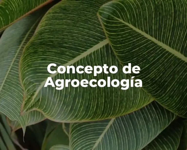 Concepto de Agroecología
