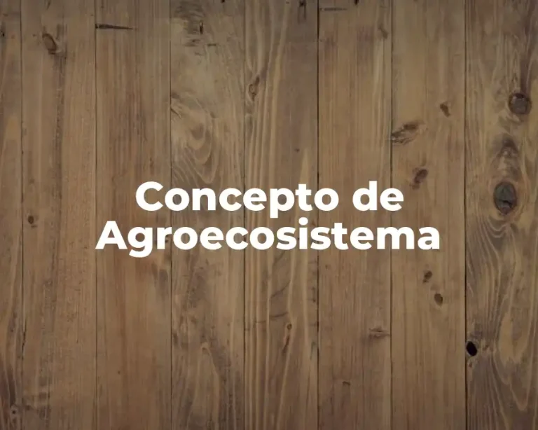 Concepto de Agroecosistema