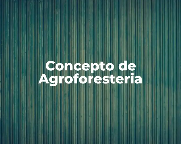 Concepto de Agroforesteria