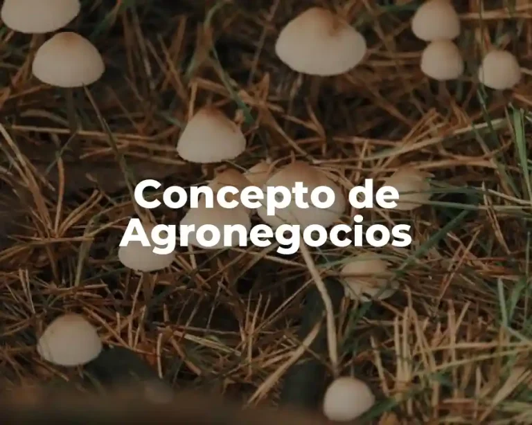 Concepto de Agronegocios