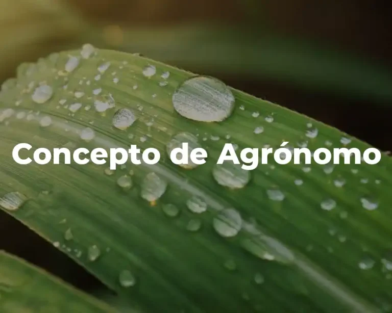 Concepto de Agrónomo