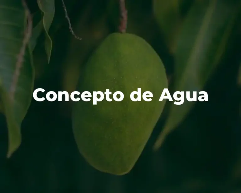 Concepto de Agua