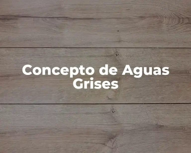 Concepto de Aguas Grises