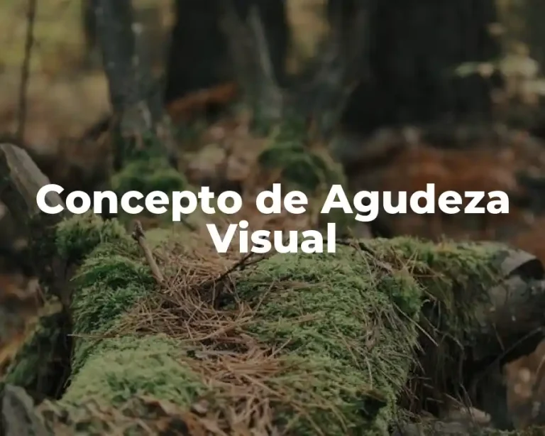 Concepto de Agudeza Visual