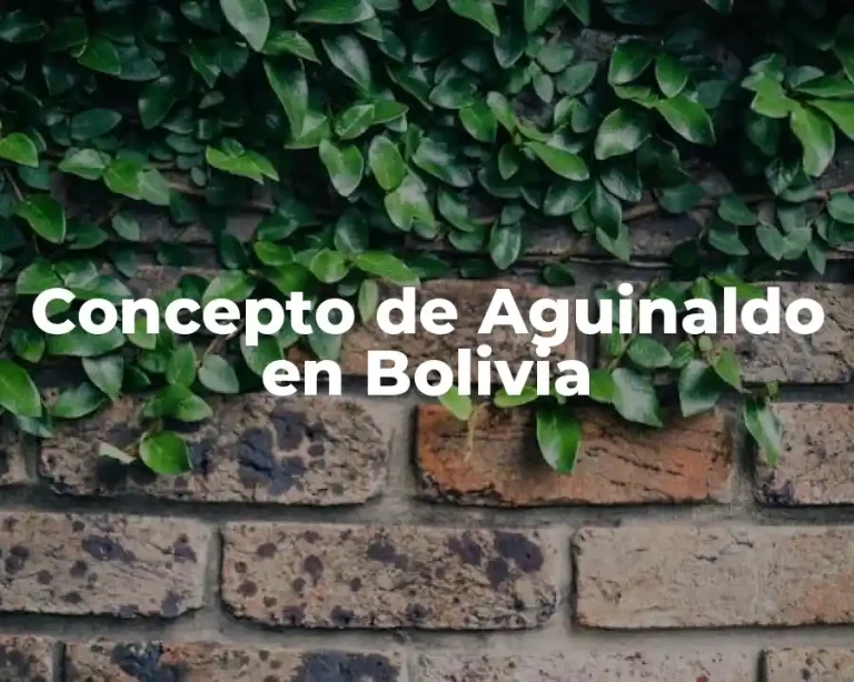 Concepto de Aguinaldo en Bolivia