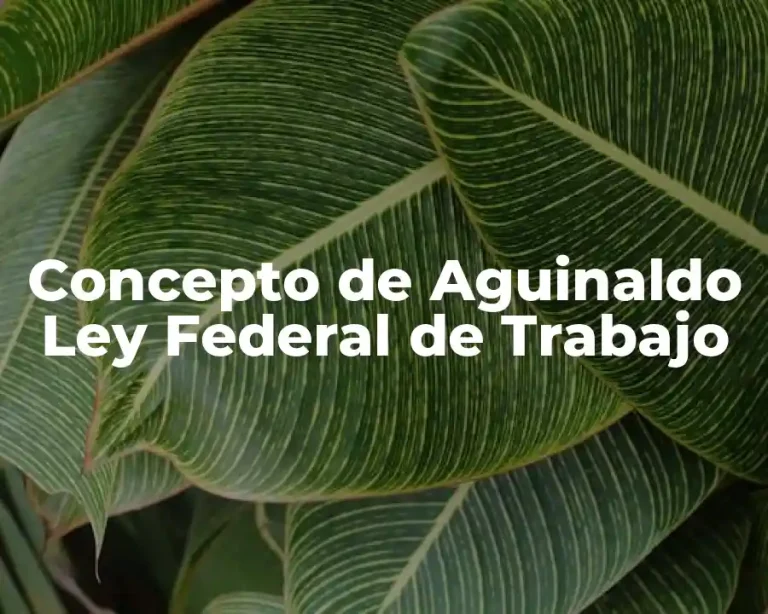 Concepto de Aguinaldo Ley Federal de Trabajo