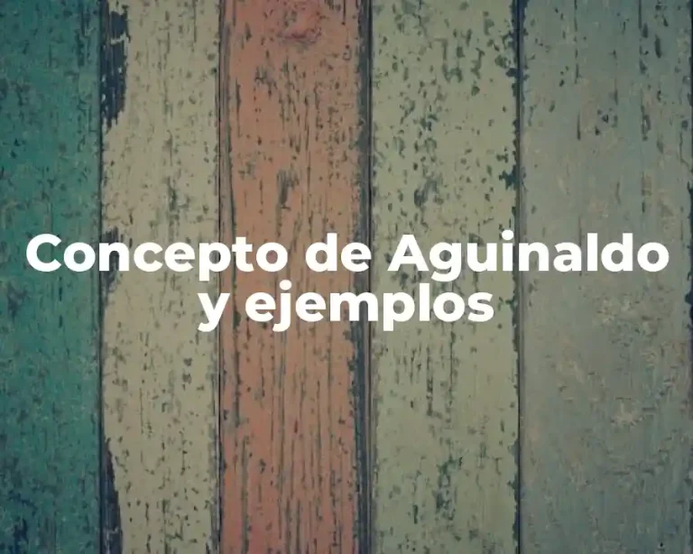 Concepto de Aguinaldo y ejemplos