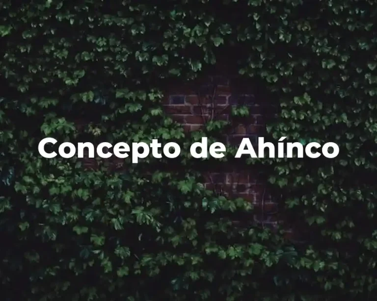 Concepto de Ahínco