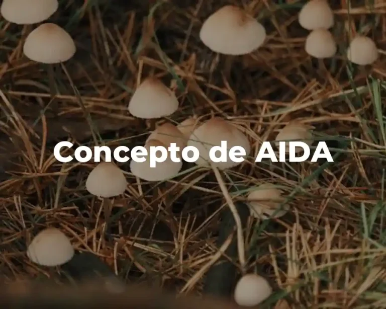 Concepto de AIDA