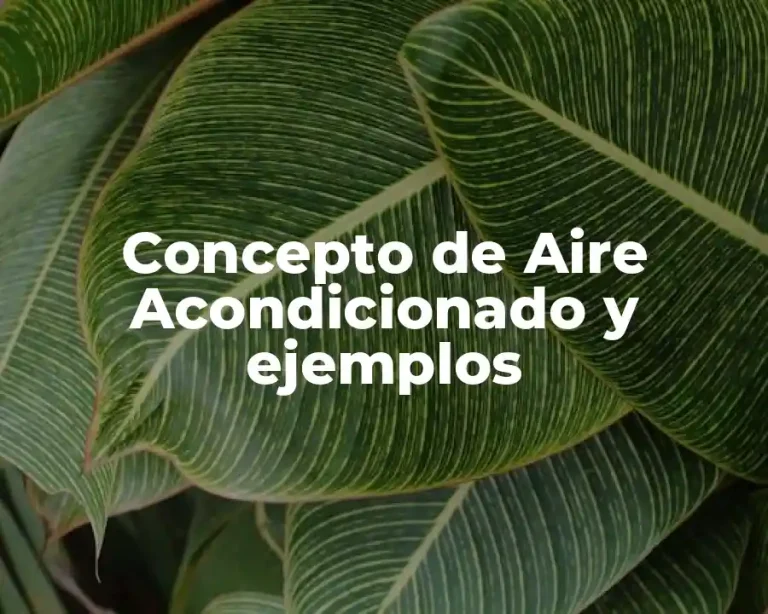 Concepto de Aire Acondicionado y ejemplos