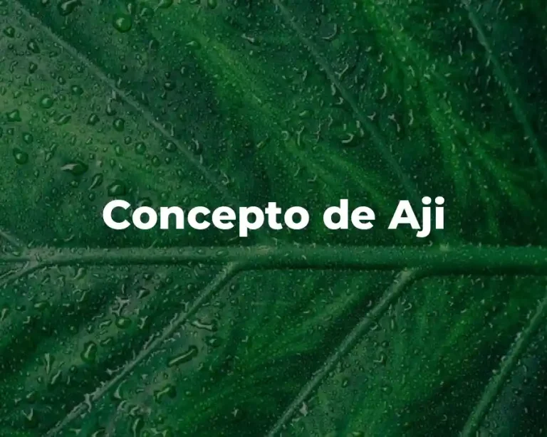 Concepto de Aji