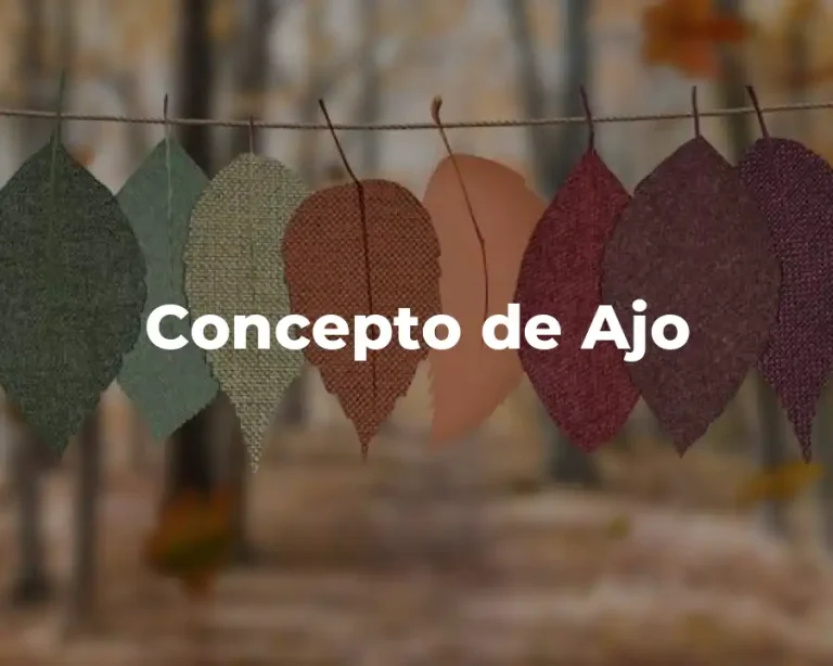 Concepto de Ajo