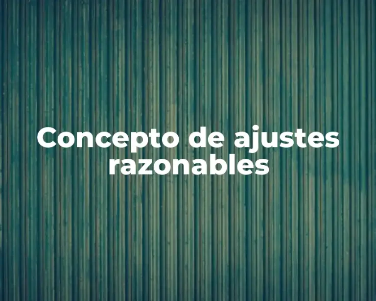 Concepto de ajustes razonables