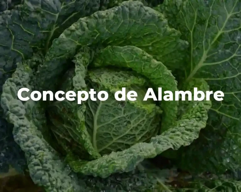 Concepto de Alambre