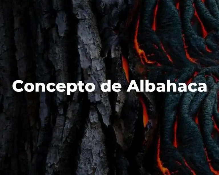 Concepto de Albahaca