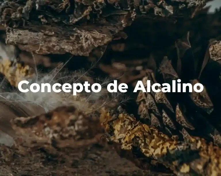 Concepto de Alcalino