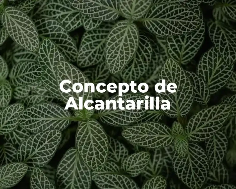 Concepto de Alcantarilla