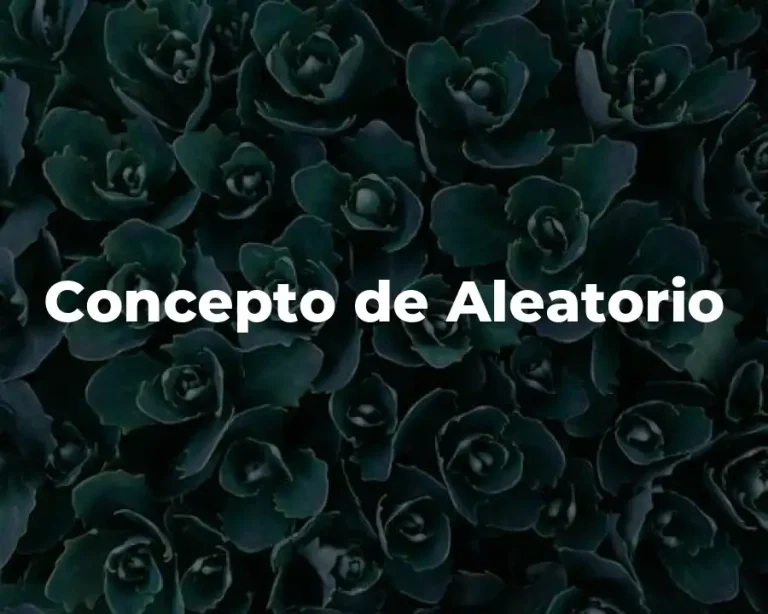 Concepto de Aleatorio