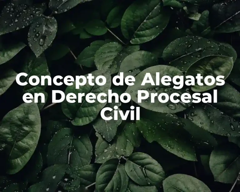 Concepto de Alegatos en Derecho Procesal Civil