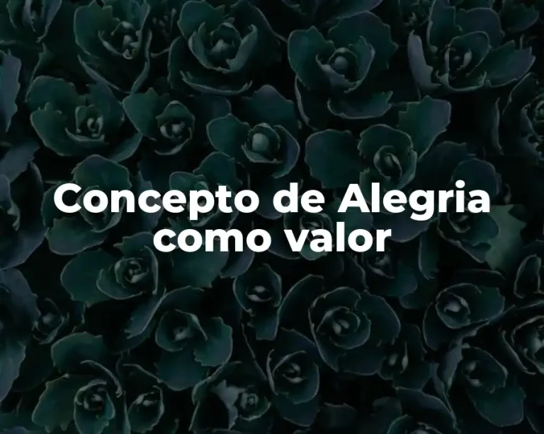 Concepto de Alegria como valor