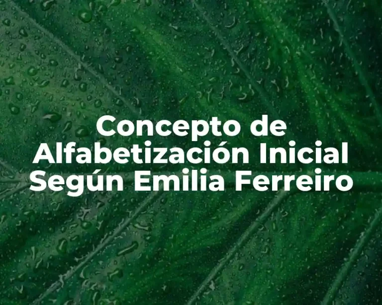 Concepto de Alfabetización Inicial Según Emilia Ferreiro