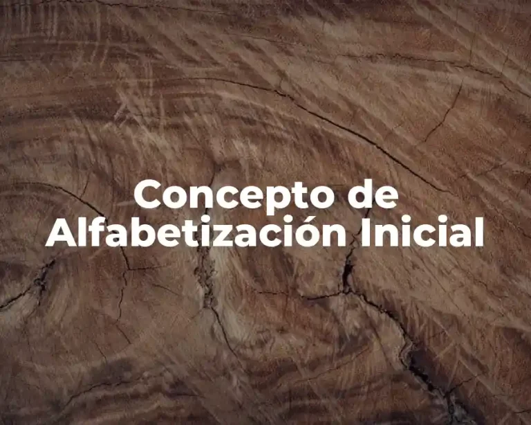 Concepto de Alfabetización Inicial