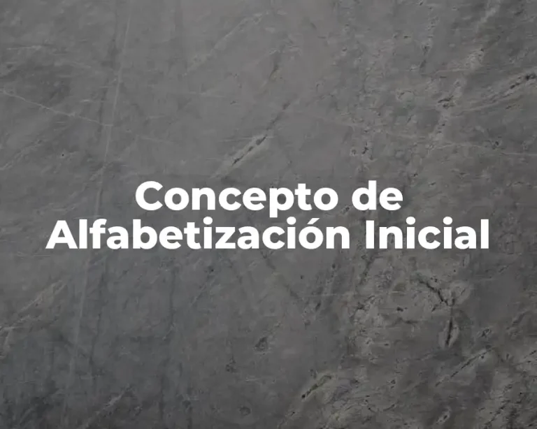 Concepto de Alfabetización Inicial