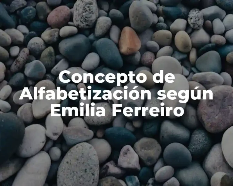 Concepto de Alfabetización según Emilia Ferreiro