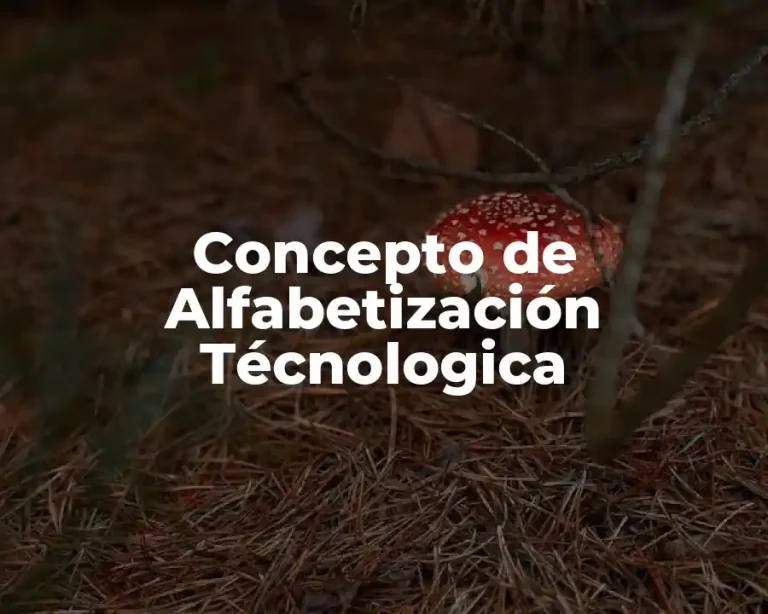Concepto de Alfabetización Técnologica