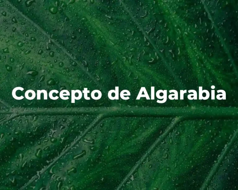 Concepto de Algarabia