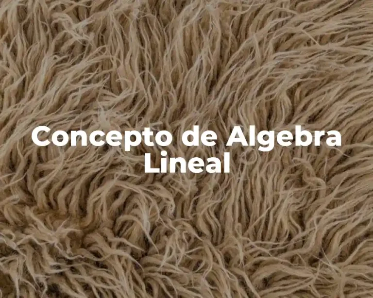 Concepto de Algebra Lineal