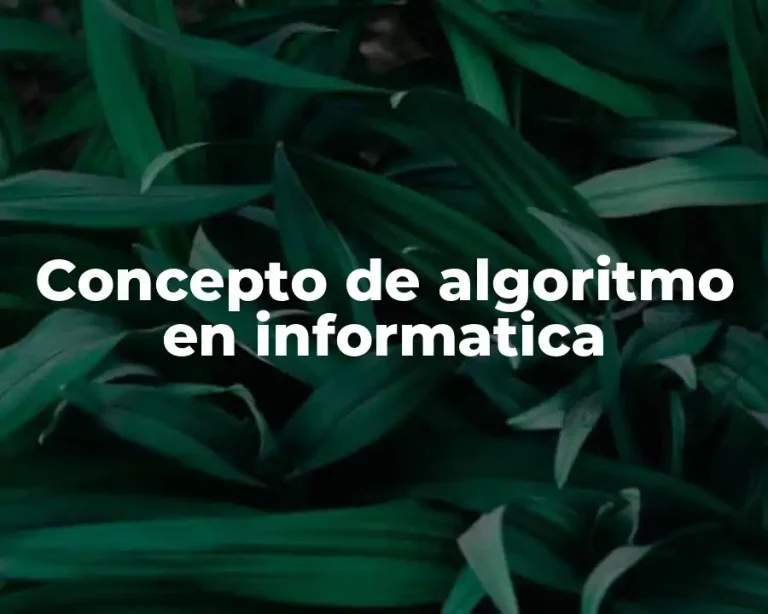 Concepto de algoritmo en informatica