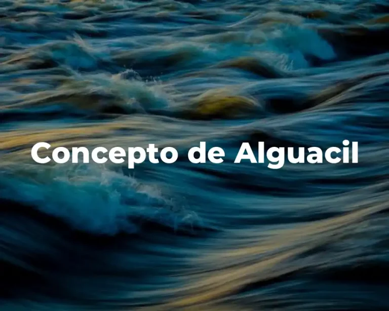 Concepto de Alguacil