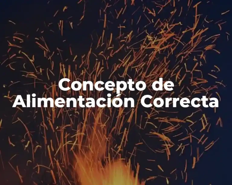 Concepto de Alimentación Correcta