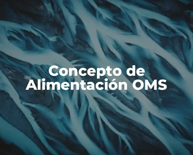 Concepto de Alimentación OMS