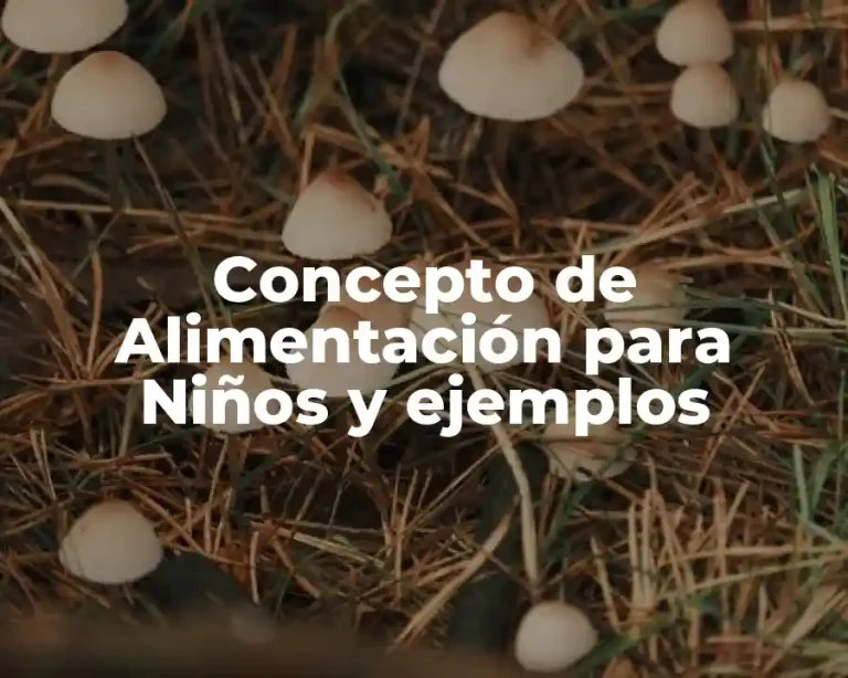 Concepto de Alimentación para Niños y ejemplos