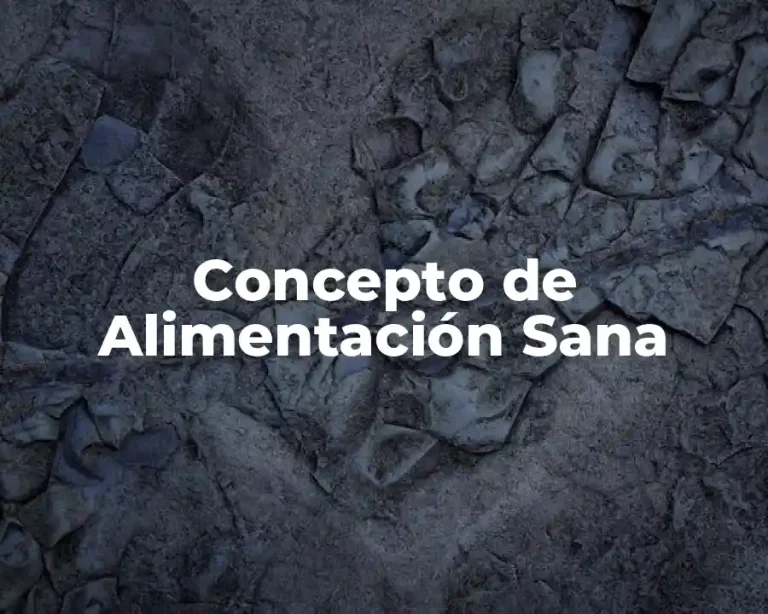 Concepto de Alimentación Sana