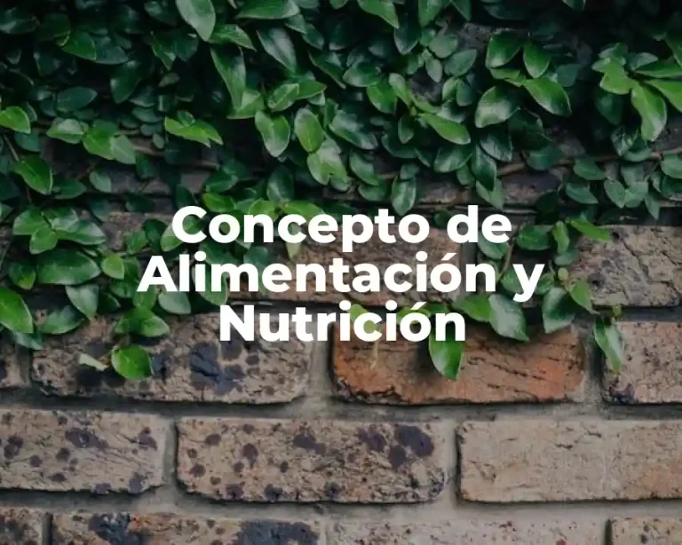 Concepto de Alimentación y Nutrición