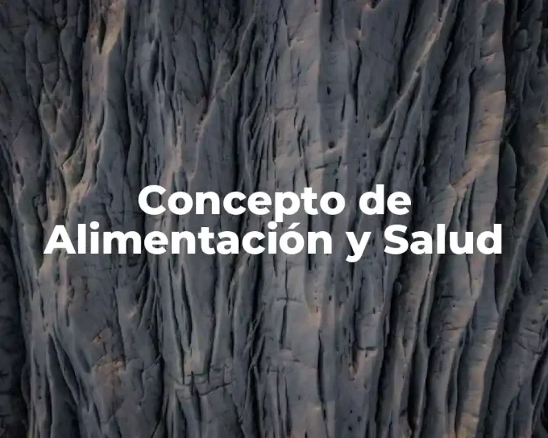 Concepto de Alimentación y Salud