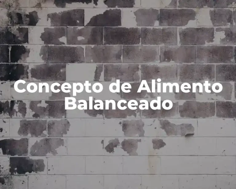 Concepto de Alimento Balanceado