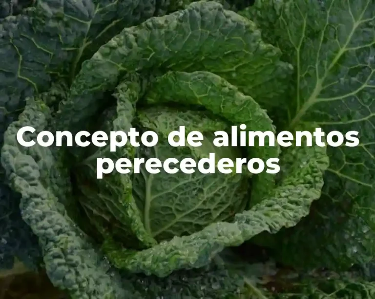 Concepto de alimentos perecederos