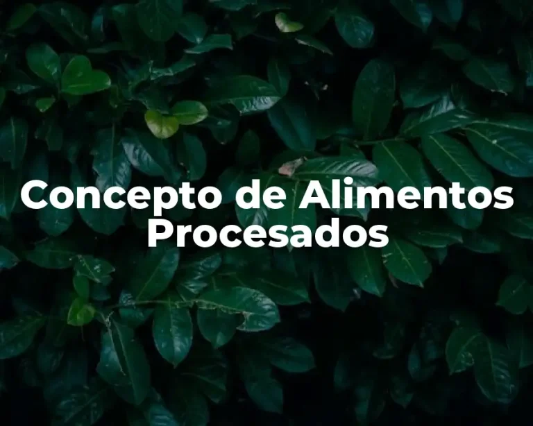 Concepto de Alimentos Procesados