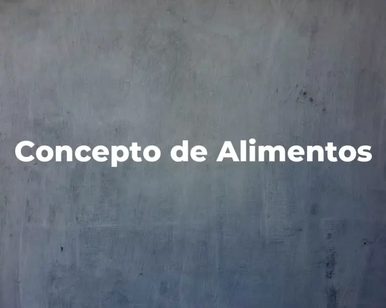 Concepto de Alimentos