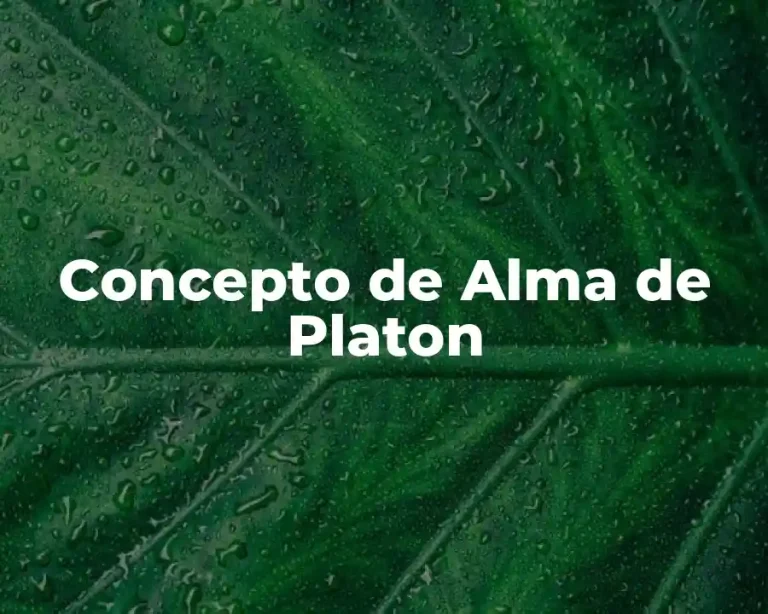 Concepto de Alma de Platon