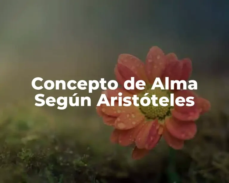 Concepto de Alma Según Aristóteles