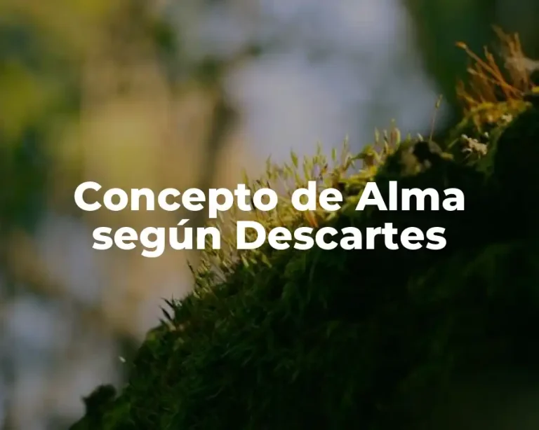 Concepto de Alma según Descartes