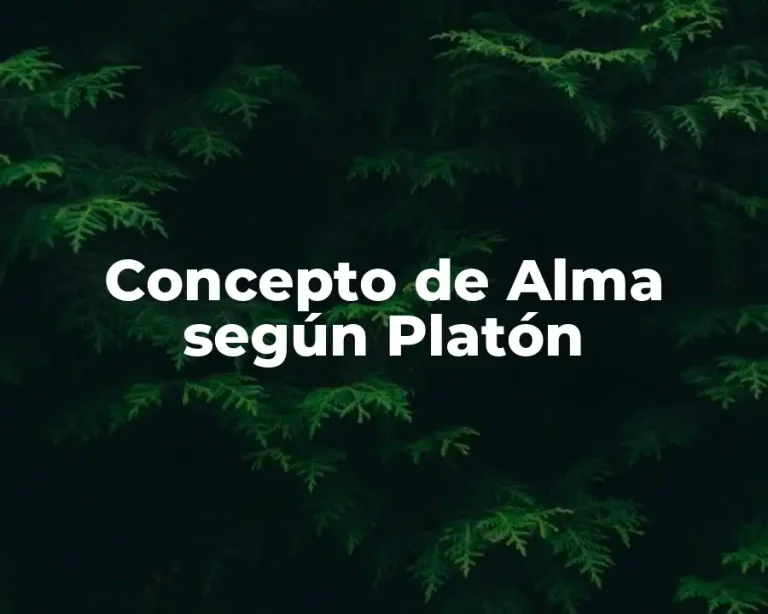 Concepto de Alma según Platón