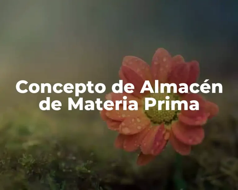 Concepto de Almacén de Materia Prima